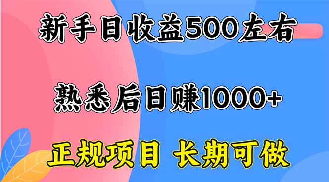 新手日收益500+ 正规项目 长期可做-网创星球