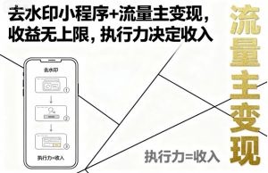 去水印小程序+流量主变现，收益无上限，执行力决定收入-网创星球