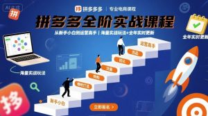 拼多多全阶实战课程，从新手小白到运营高手，海量实战玩法+全年实时更新【2025年9月更新】-网创星球