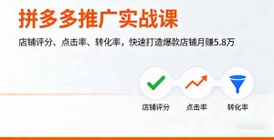 拼多多推广实战课，店铺评分、点击率、转化率，快速打造爆款店铺月赚5.8万-网创星球