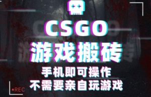CSGO游戏挂G捡漏，单日扫货5张+，年底小高峰上车可吃肉，手机即可操作，兼职副业创业网创【揭秘】-网创星球
