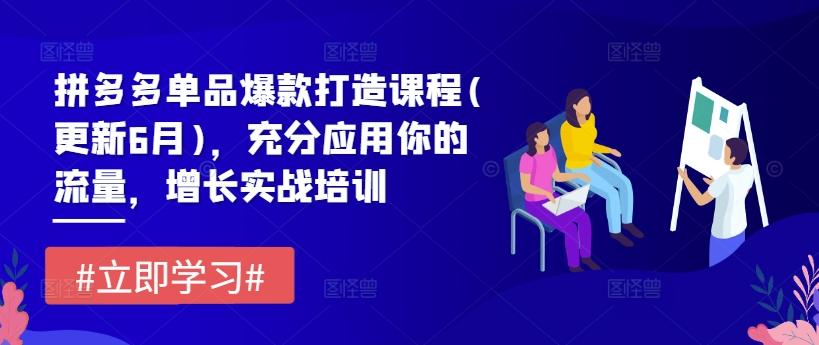 拼多多单品爆款打造课程(更新6月)，充分应用你的流量，增长实战培训-网创星球