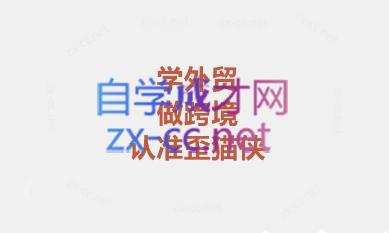 琼姐·团队复制+询盘转化+展会实操-网创星球