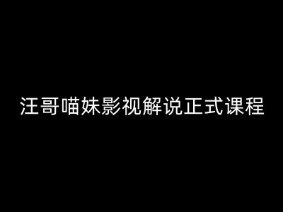 汪哥影视解说正式课程：剪映/PR教学/视解说剪辑5大黄金法则/全流程剪辑7把利器等等-网创星球