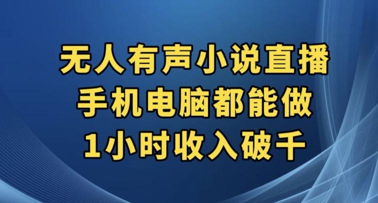 抖音无人有声小说直播，手机电脑都能做，1小时收入破千【揭秘】-网创星球