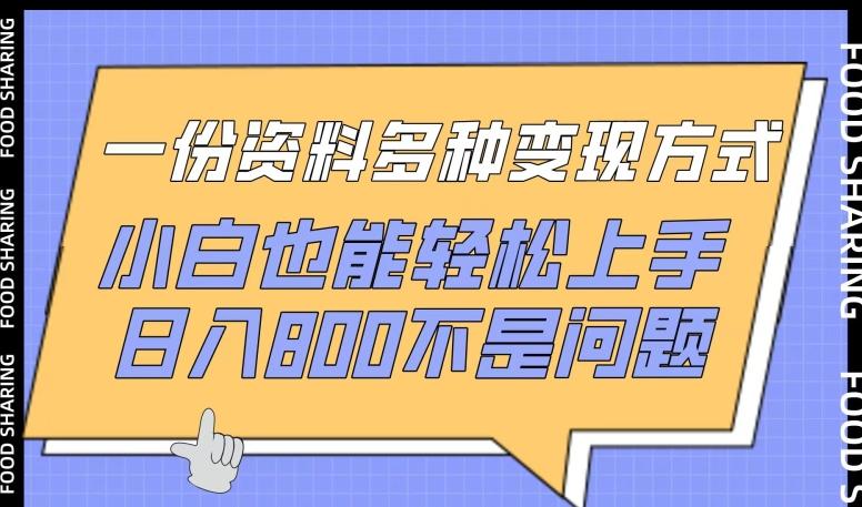 一份资料多种变现方式，小白也能轻松上手，日入800不是问题【揭秘】-网创星球