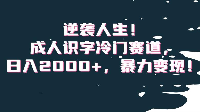 逆袭人生！成人识字冷门赛道，日入2000+，暴力变现！【揭秘】-网创星球