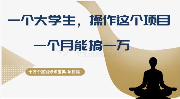 十万个富翁修炼宝典之4.一个大学生操作这个项目，一个月能搞一万-网创星球