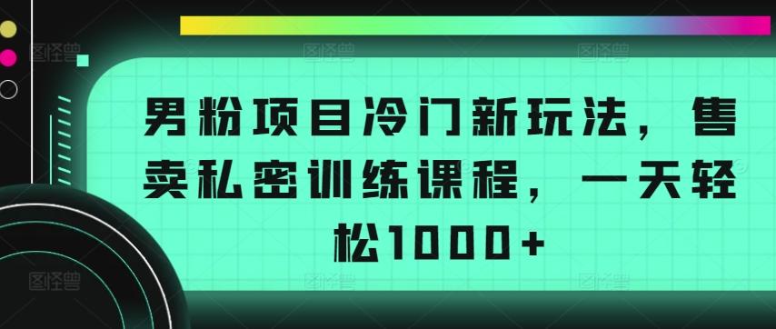 男粉项目冷门新玩法，售卖私密训练课程，一天轻松1000+【揭秘】-网创星球
