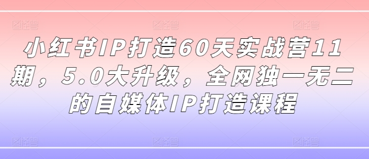 小红书IP打造60天实战营11期，5.0大升级，全网独一无二的自媒体IP打造课程-网创星球