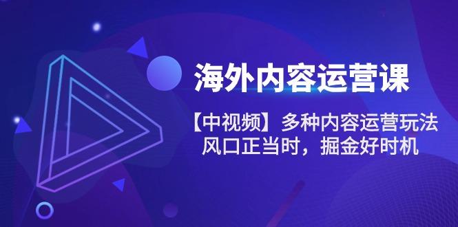 海外内容 运营课【中视频】多种内容运营玩法 风口正当时 掘金好时机-101节-网创星球