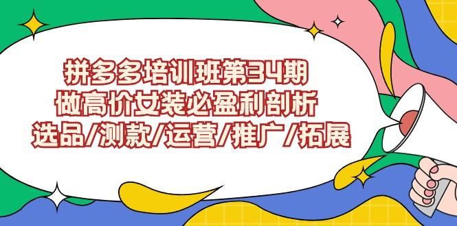 (9333期)拼多多培训班第34期：做高价女装必盈利剖析  选品/测款/运营/推广/拓展-网创星球
