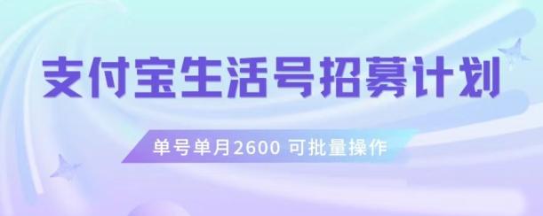 支付宝生活号作者招募计划，单号单月2600，可批量去做，工作室一人一个月轻松1w+【揭秘】-网创星球