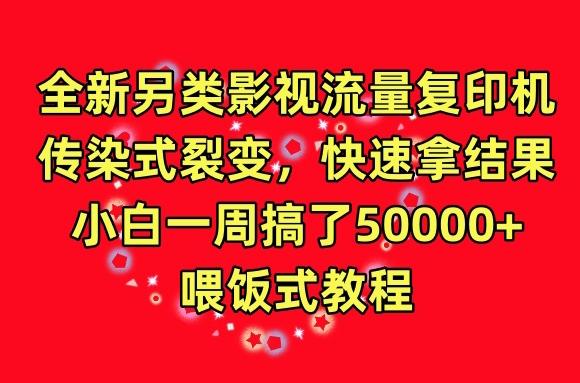 全新另类影视流量复印机，传染式裂变，快速拿结果，小白一周搞了50000+，喂饭式教程【揭秘】-网创星球