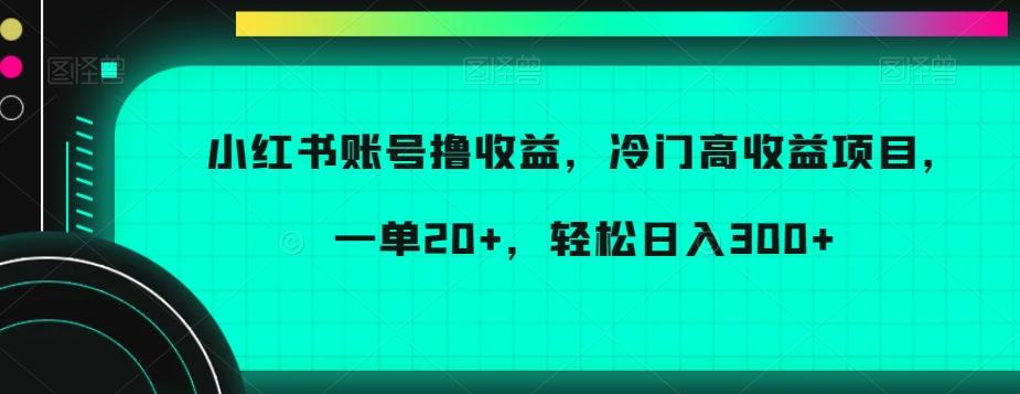 小红书账号撸收益，冷门高收益项目，一单20+，轻松日入300+【揭秘】-网创星球