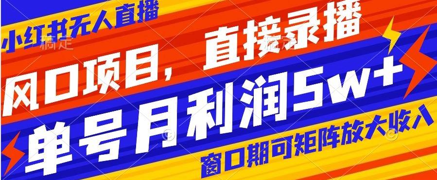 风口项目，小红书无人直播带货，直接录播，可矩阵，月入5w+【揭秘】-网创星球