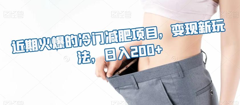 近期火爆的冷门减肥项目，变现新玩法，日入200+-网创星球