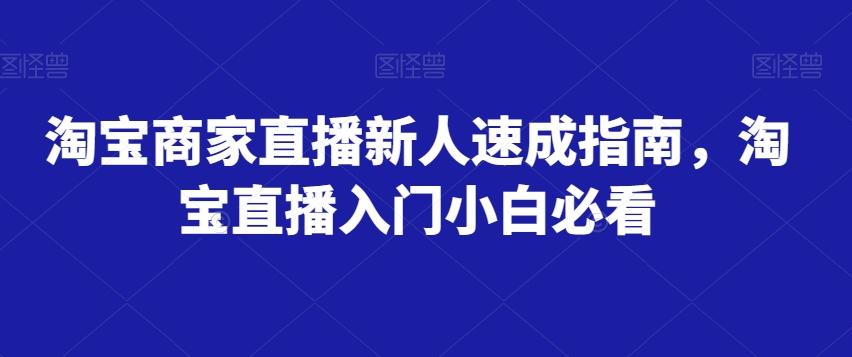 淘宝商家直播新人速成指南，淘宝直播入门小白必看-网创星球