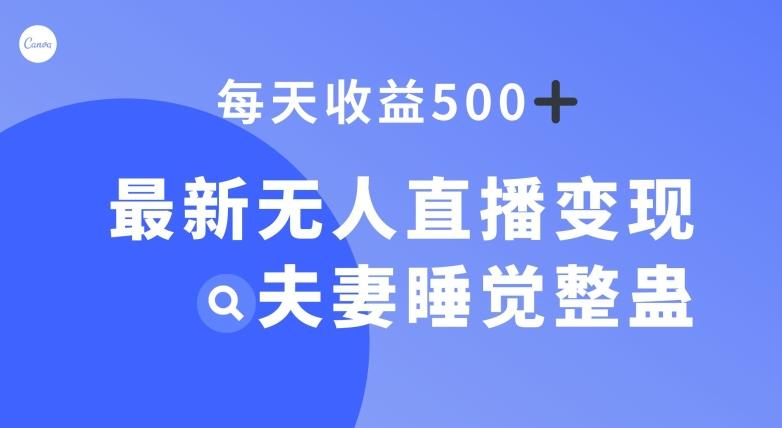 最新无人直播变现，夫妻睡觉整蛊，每天躺赚500+【揭秘】-网创星球