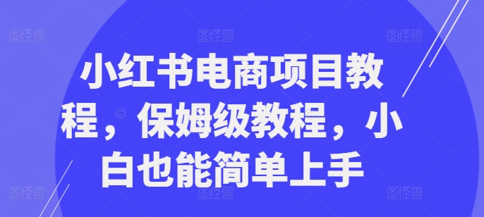 小红书电商项目教程，保姆级教程，小白也能简单上手-网创星球