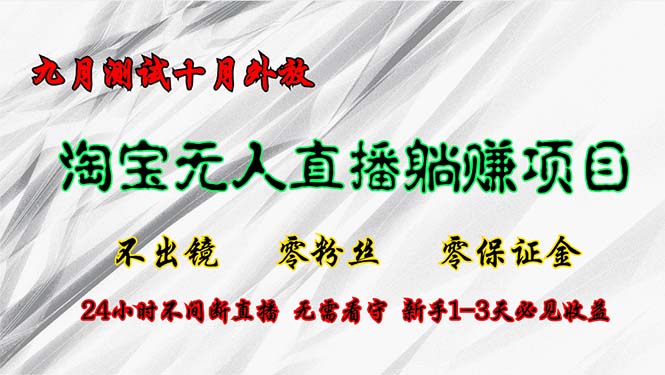 淘宝无人直播最新玩法，九月测试十月外放，不出镜零粉丝零保证金，24小…-网创星球