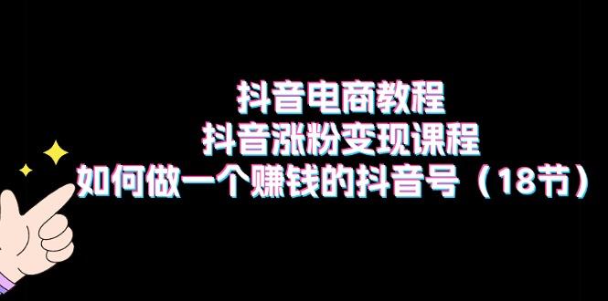抖音电商教程：抖音涨粉变现课程：如何做一个赚钱的抖音号(18节-网创星球