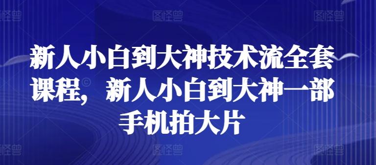 新人小白到大神技术流全套课程，新人小白到大神一部手机拍大片-网创星球