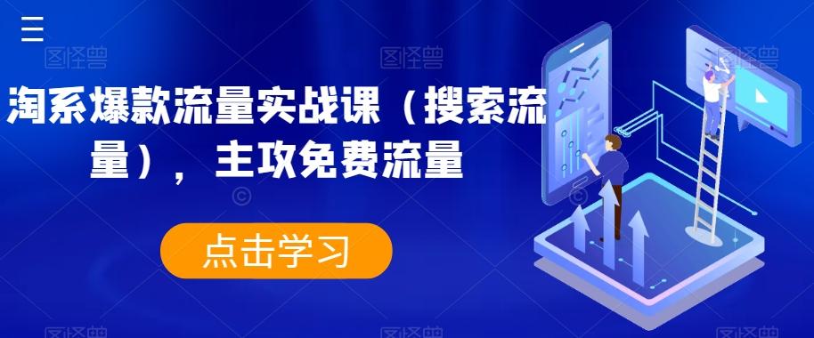 淘系爆款流量实战课（搜索流量），主攻免费流量-网创星球
