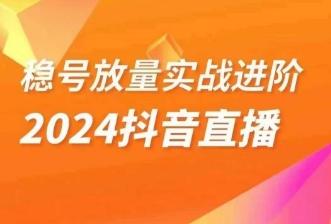 稳号放量实战进阶—2024抖音直播，直播间精细化运营的几大步骤-网创星球