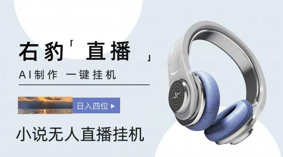 右豹小说无人直播挂机吸金项目，简单易行收益稳定， 月入1000+-网创星球