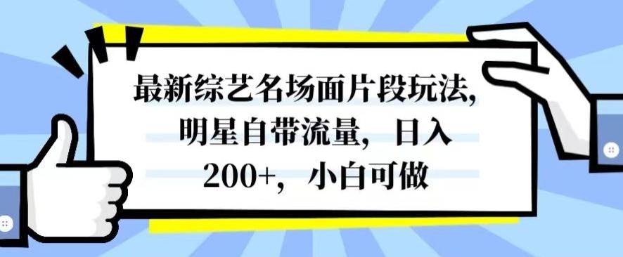 最新综艺名场面片段玩法，明星自带流量，日入200+，小白可做【揭秘】-网创星球
