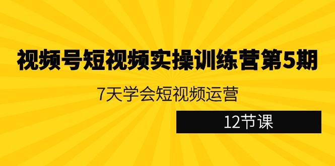 视频号短视频实操训练营第5期：7天学会短视频运营(12节课)-网创星球