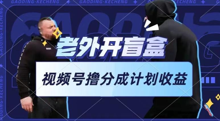 老外开盲盒视频，撸视频号分成计划收益，每天只需一小时，新手小白轻松上手【揭秘】-网创星球