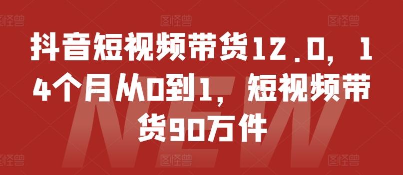 抖音短视频带货12.0，14个月从0到1，短视频带货90万件-网创星球