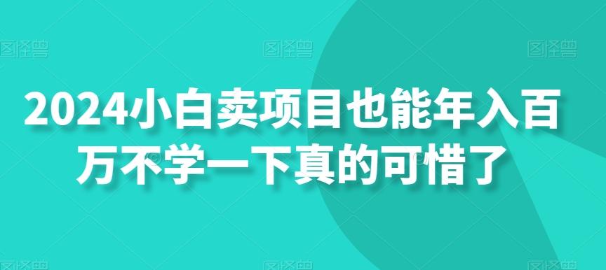 2024小白卖项目也能年入百万不学一下真的可惜了-网创星球