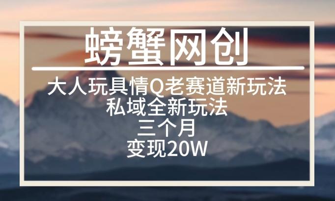 大人玩具情Q用品赛道私域全新玩法，三个月变现20W，老项目新思路【揭秘】-网创星球