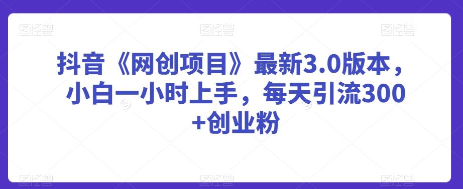 抖音《网创项目》最新3.0版本，小白一小时上手，每天引流300+创业粉【揭秘】-网创星球