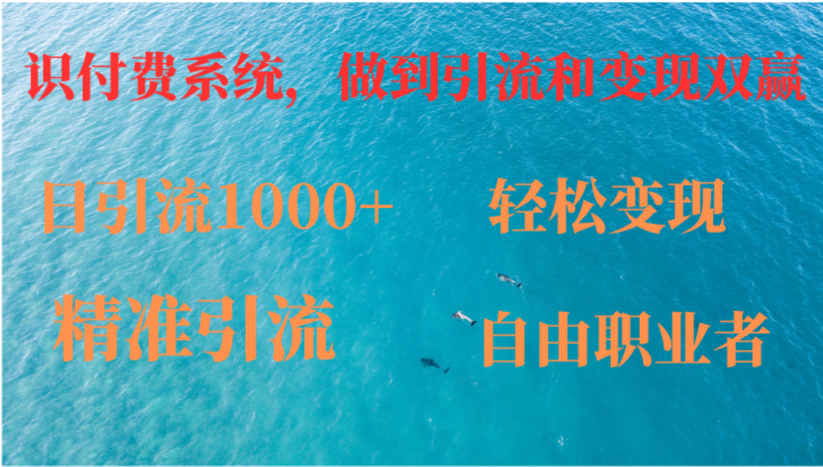 如何搭建自己的知识付费系统，做到引流和变现双赢-网创星球