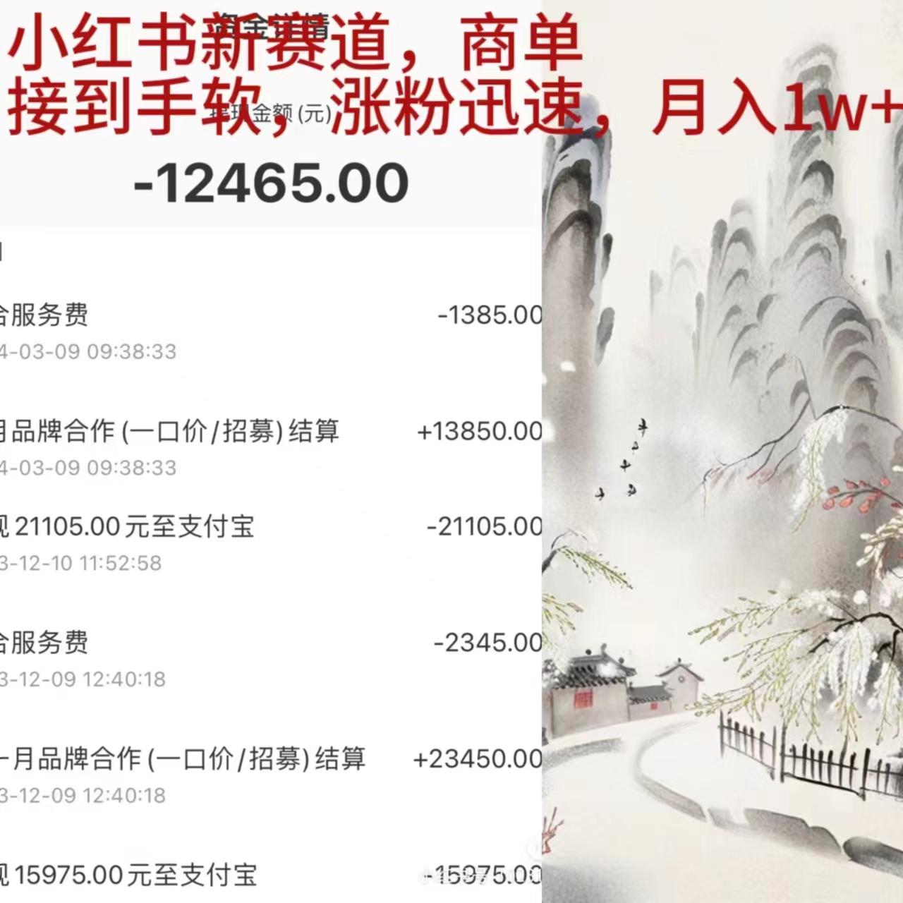 (9476期)小红书新赛道，商单接到手软，涨粉迅速，月入1w+-网创星球