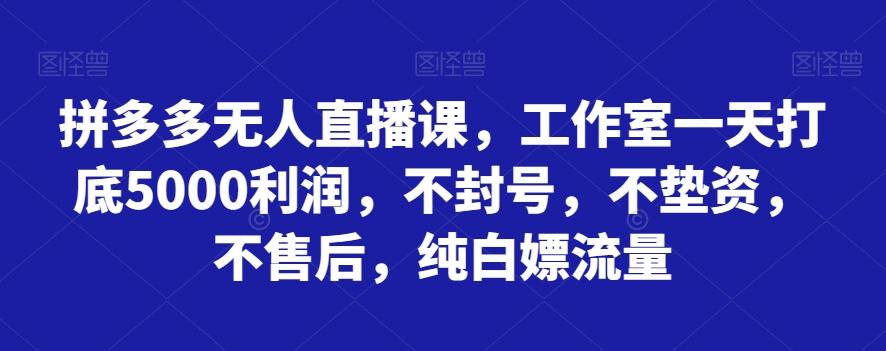 拼多多无人直播课，工作室一天打底5000利润，不封号，不垫资，不售后，纯白嫖流量-网创星球