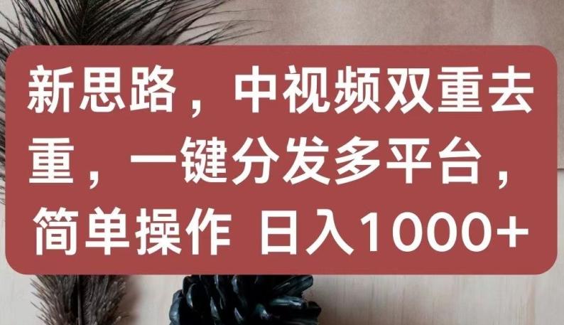 新思路，中视频双重去重，一键分发多平台，简单操作，日入1000+【揭秘】-网创星球