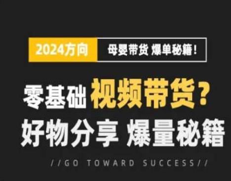 短视频母婴赛道实操流量训练营，零基础视频带货，好物分享，爆量秘籍-网创星球