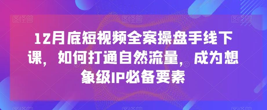 12月底短视频全案操盘手线下课，如何打通自然流量，成为想象级IP必备要素-网创星球