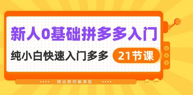 新人0基础拼多多入门，​纯小白快速入门多多(21节课-网创星球