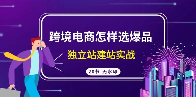 (9369期)跨境电商怎样选爆品，独立站建站实战(20节高清无水印课)-网创星球