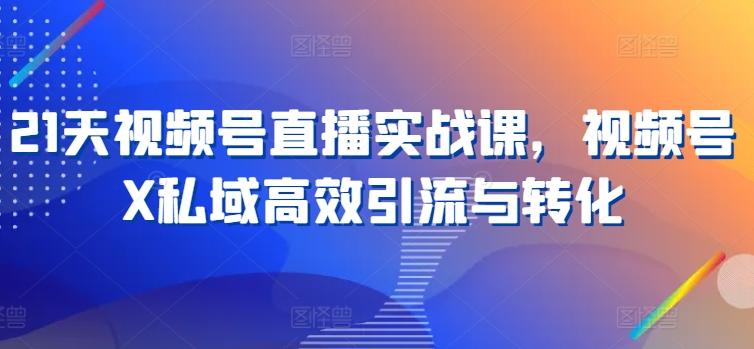 21天视频号直播实战课，视频号X私域高效引流与转化-网创星球