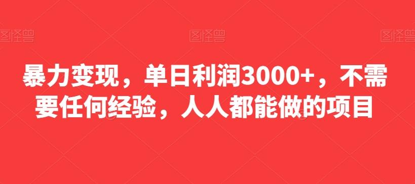 暴力变现，单日利润3000+，不需要任何经验，人人都能做的项目-网创星球