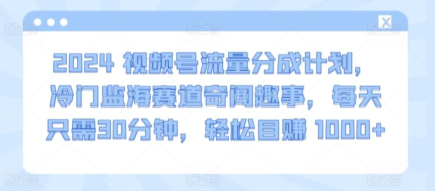 2024视频号流量分成计划，冷门监海赛道奇闻趣事，每天只需30分钟，轻松目赚 1000+【揭秘】-网创星球
