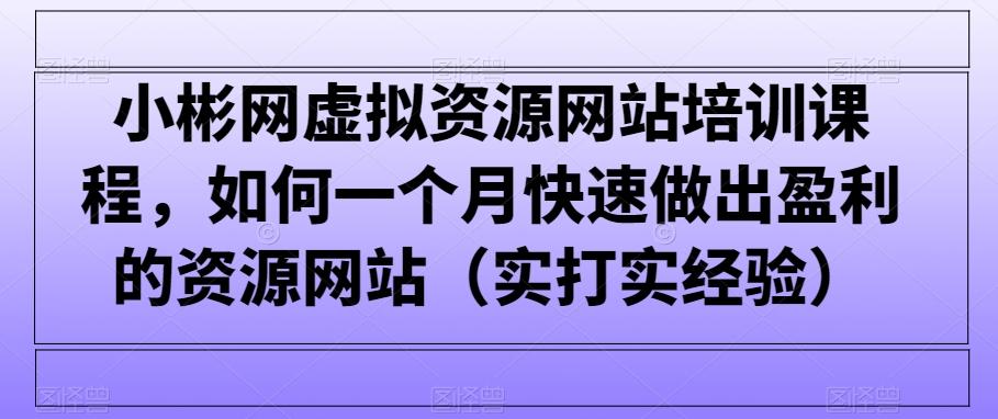 小彬网虚拟资源网站培训课程，如何一个月快速做出盈利的资源网站(实打实经验)-网创星球