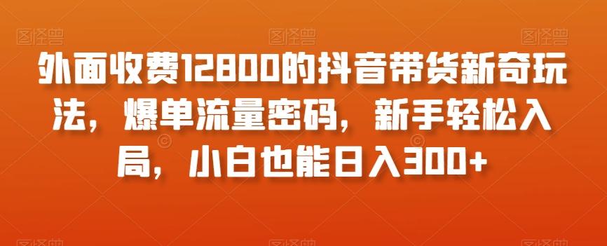 外面收费12800的抖音带货新奇玩法，爆单流量密码，新手轻松入局，小白也能日入300+【揭秘】-网创星球